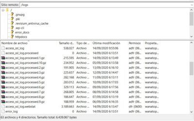 Filezilla logs