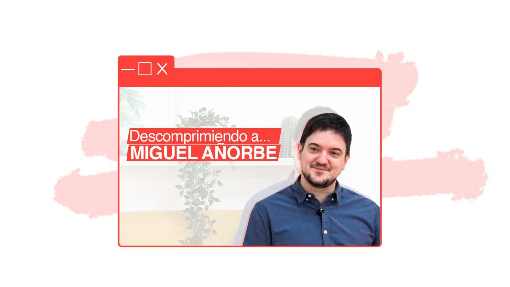 consultor seo miguel añorbe