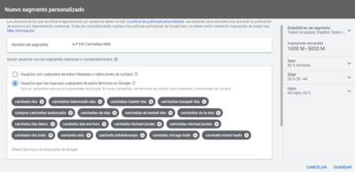 Audiencias personalizadas Google Ads