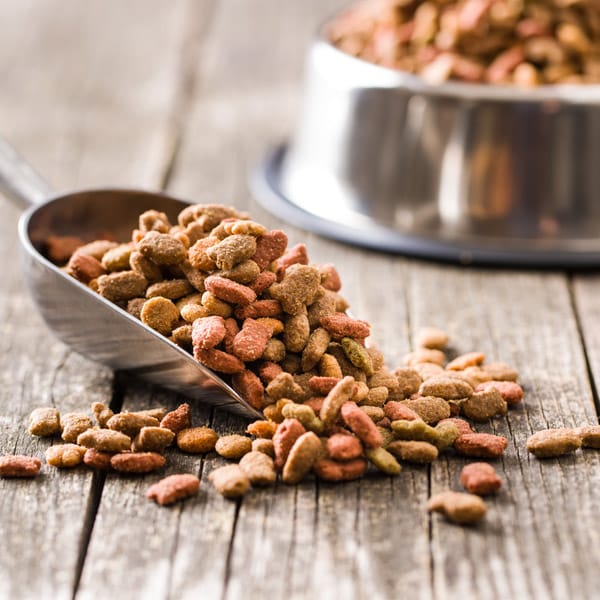 satisfaction pet food